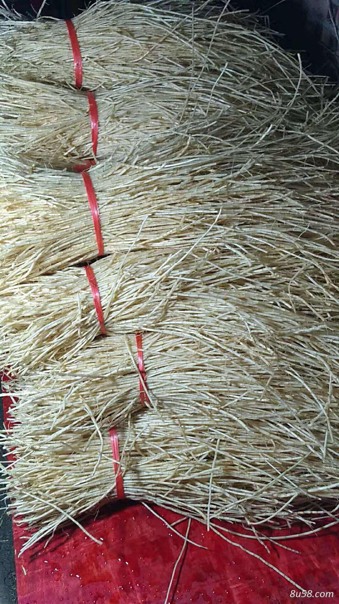 白茅根