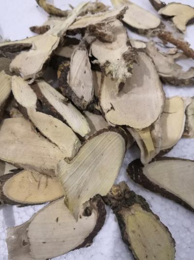 了哥王中药材一斤多少钱 正品了哥王哪里能买到