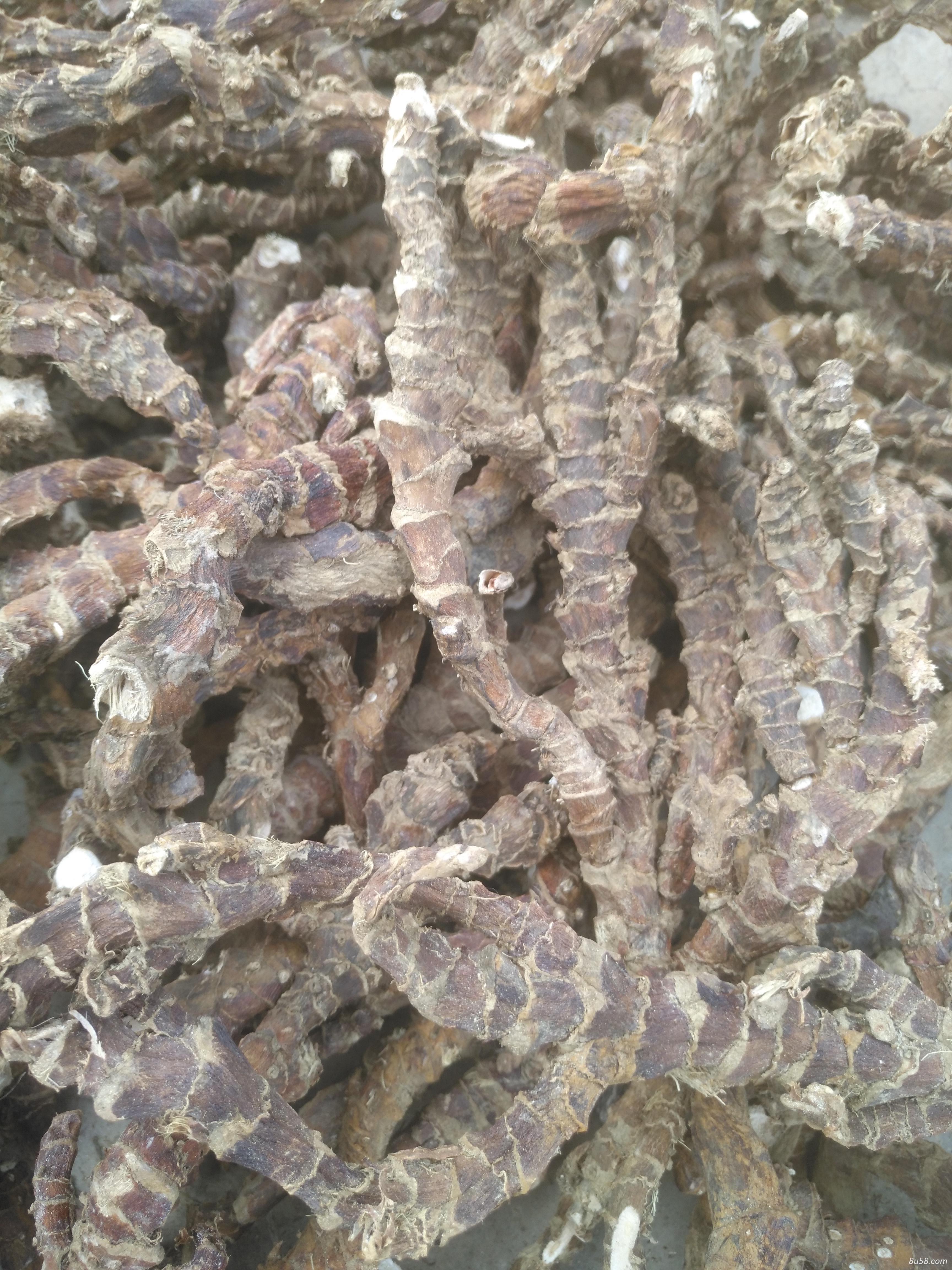石菖蒲