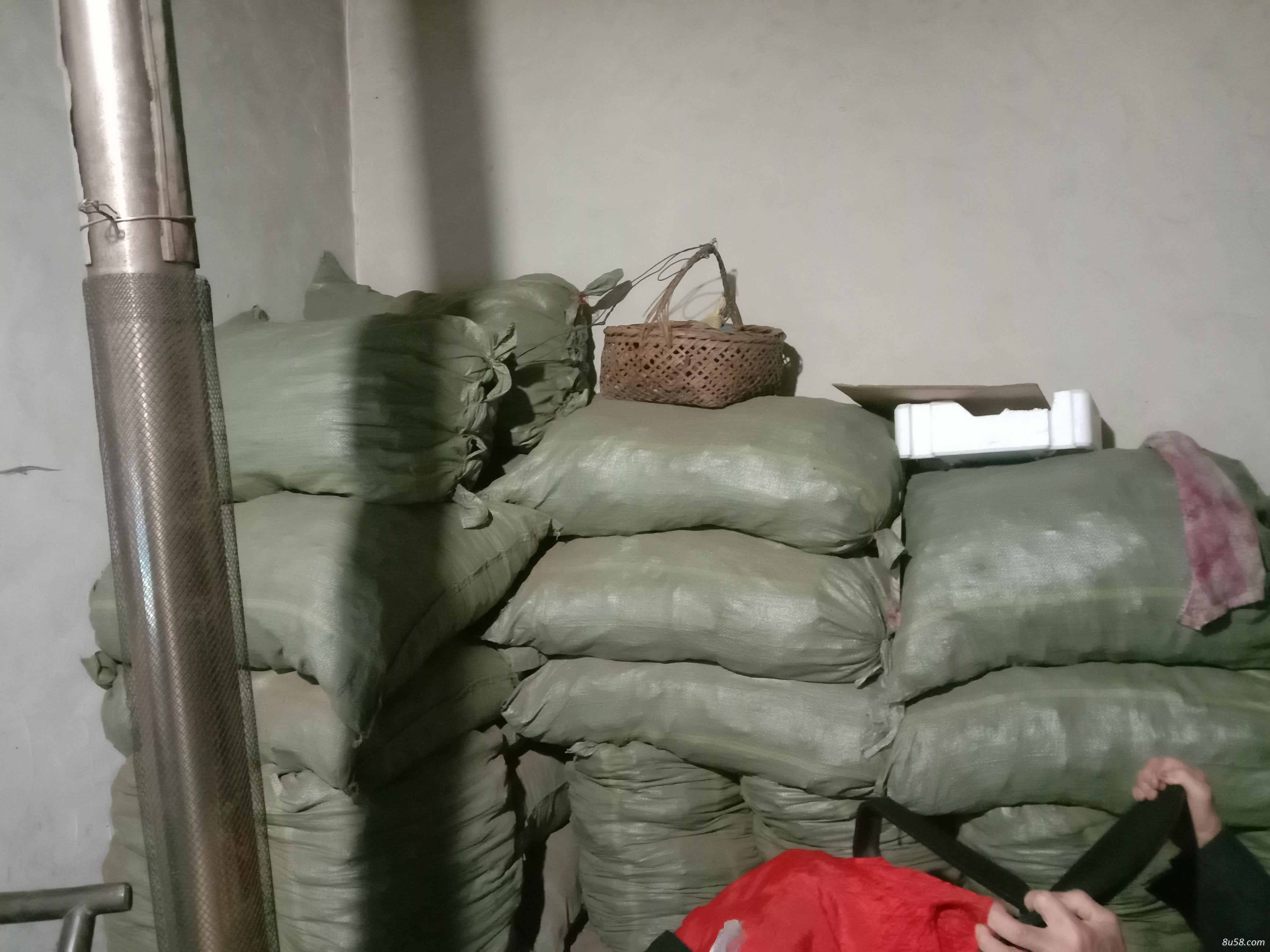 有大量独活出卖，有意者联系
