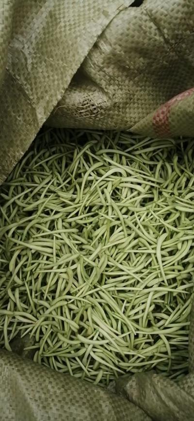 金银花出售，品质好花农自采，纯手工加工