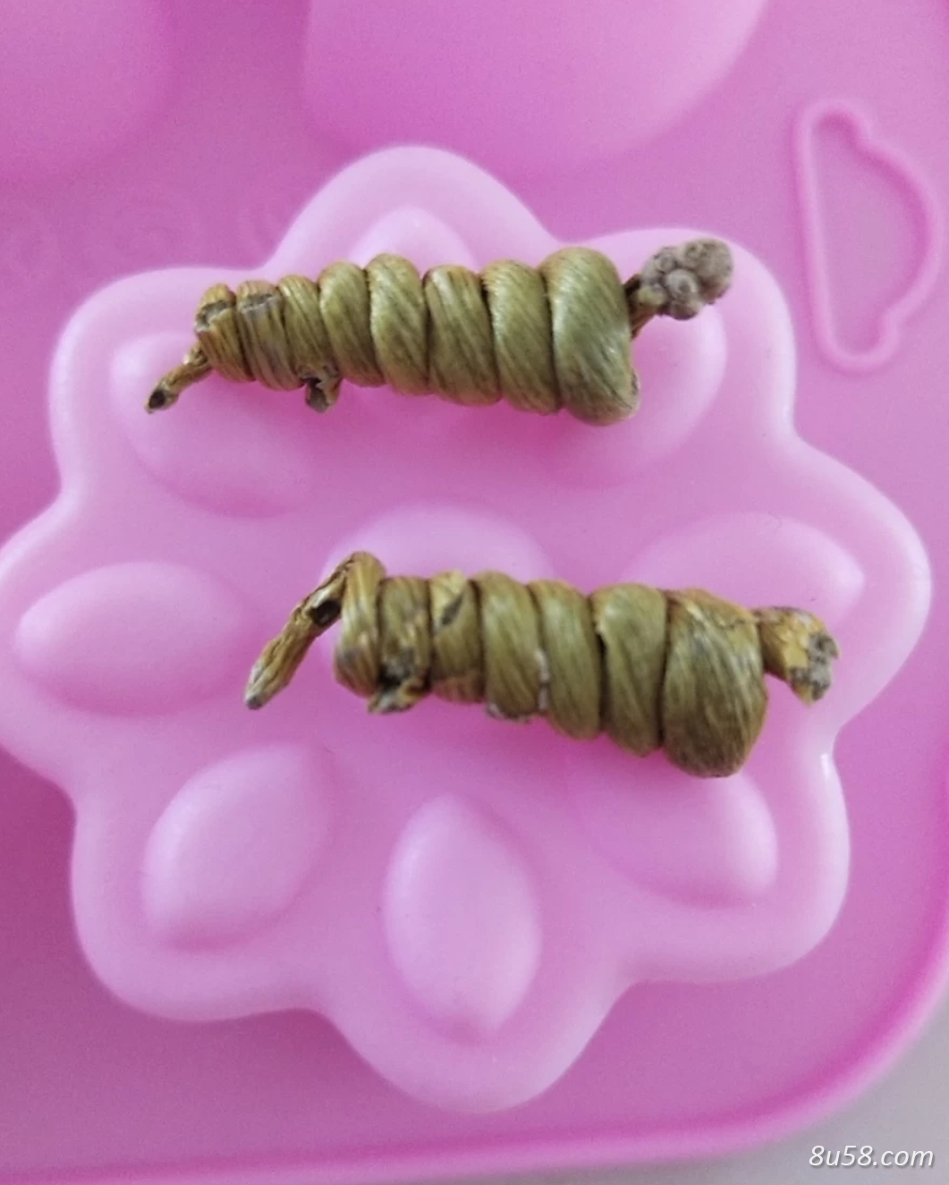 尝遍人间百草，霍山石斛最好