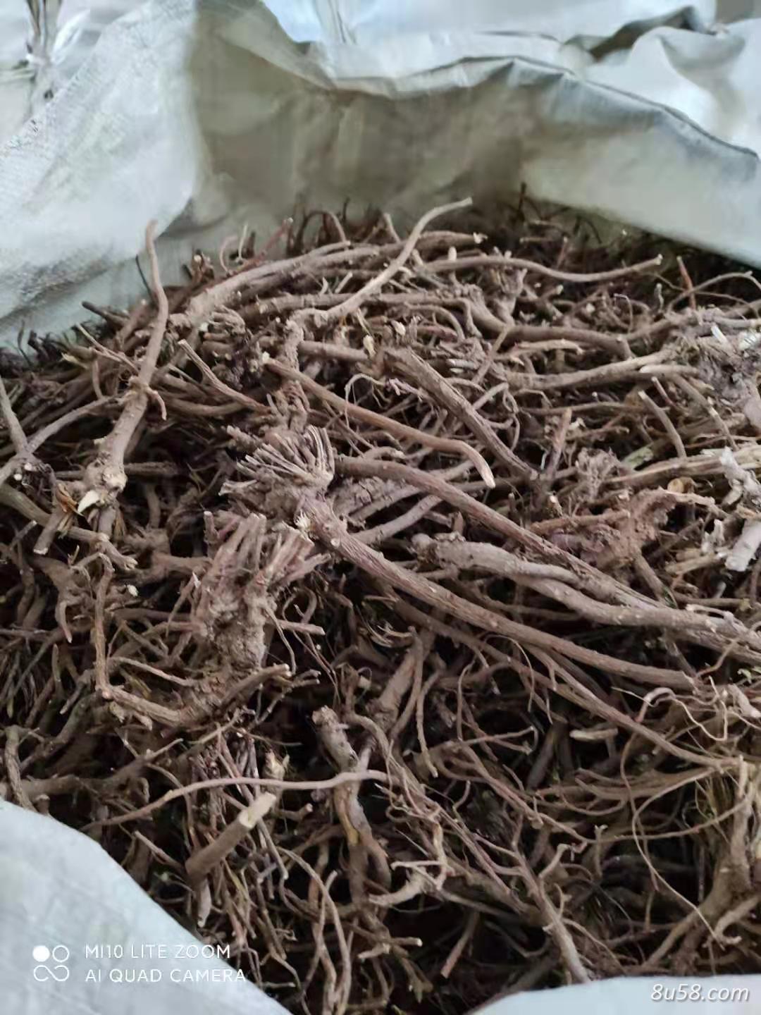 北柴胡（统货）