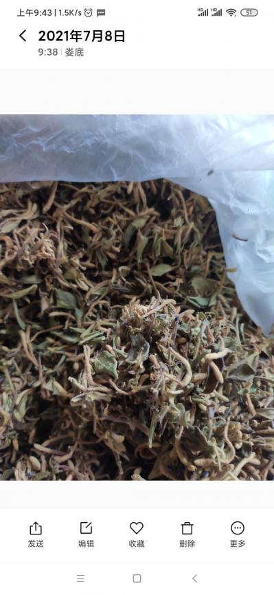 野生金银花