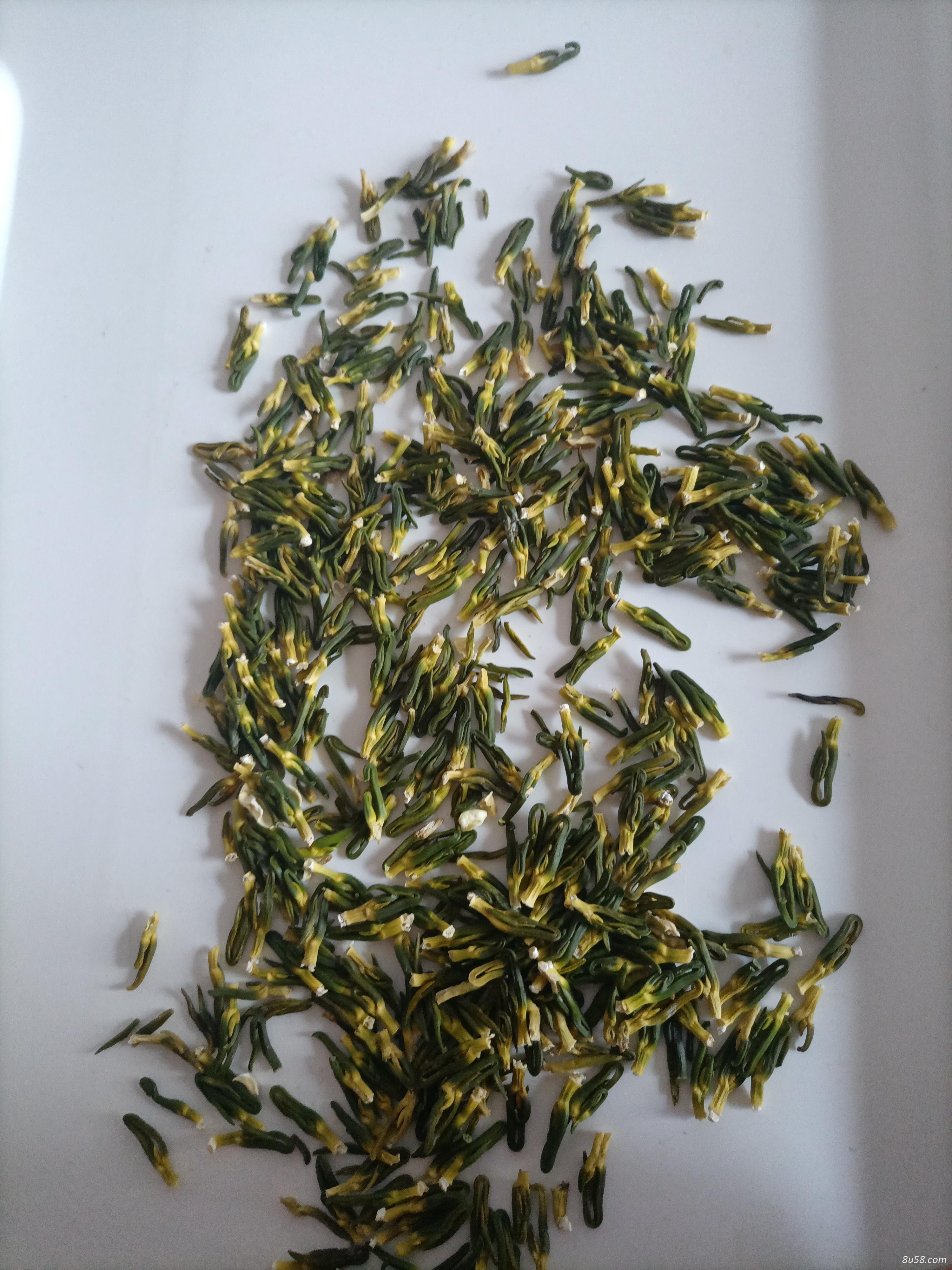 江西省广昌正宗白莲(莲心)自产自销价格优惠。 江西省广昌正宗白莲(莲心)自产自销价格优惠。