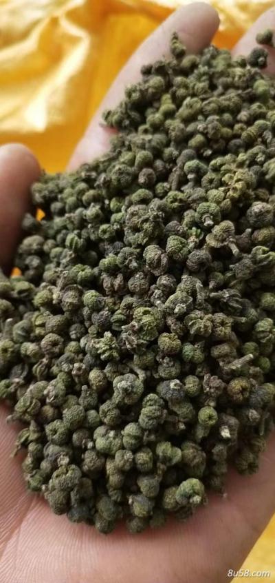吴茱萸供应