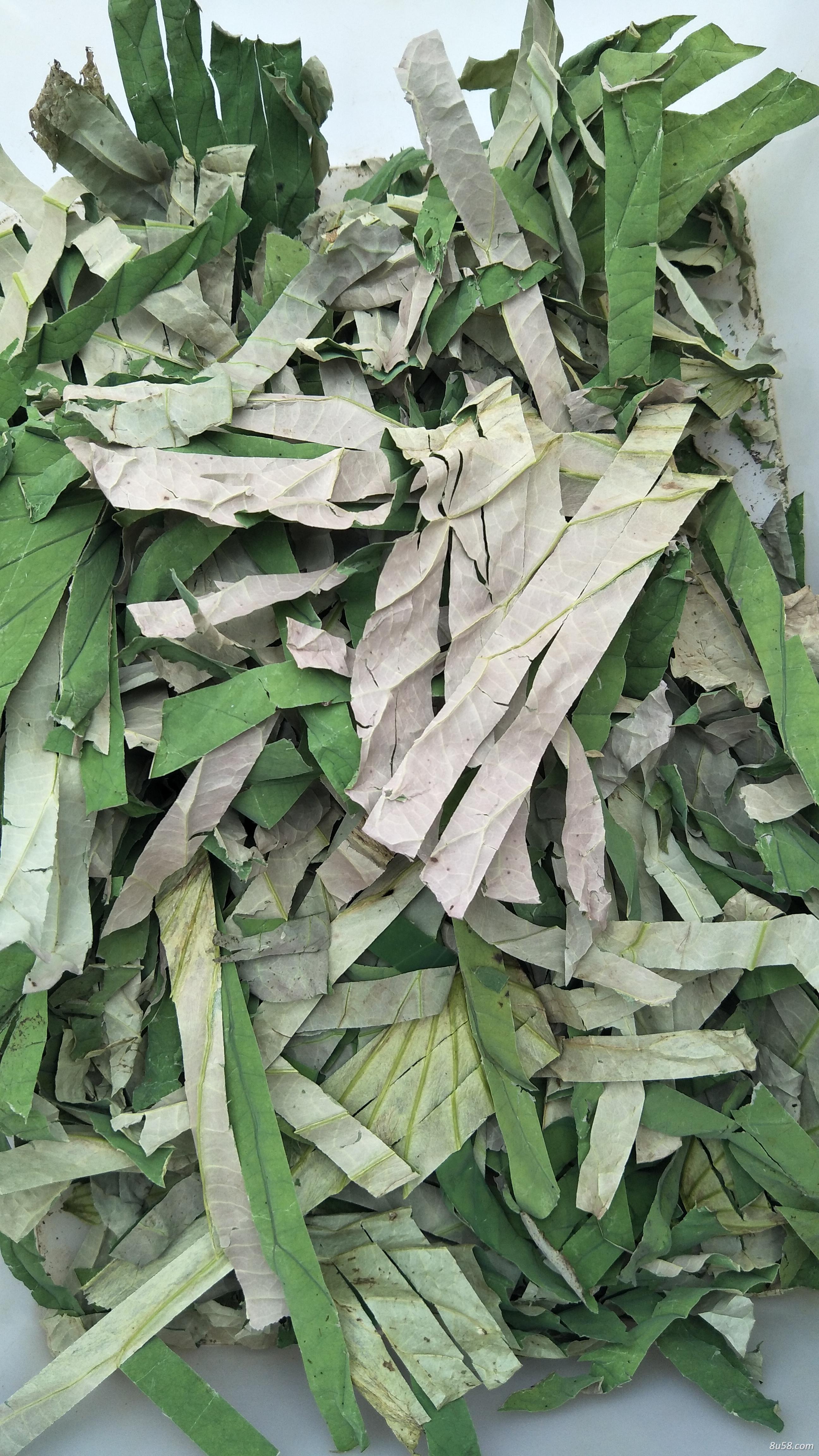 出售干荷叶