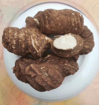 优质滇重楼干货