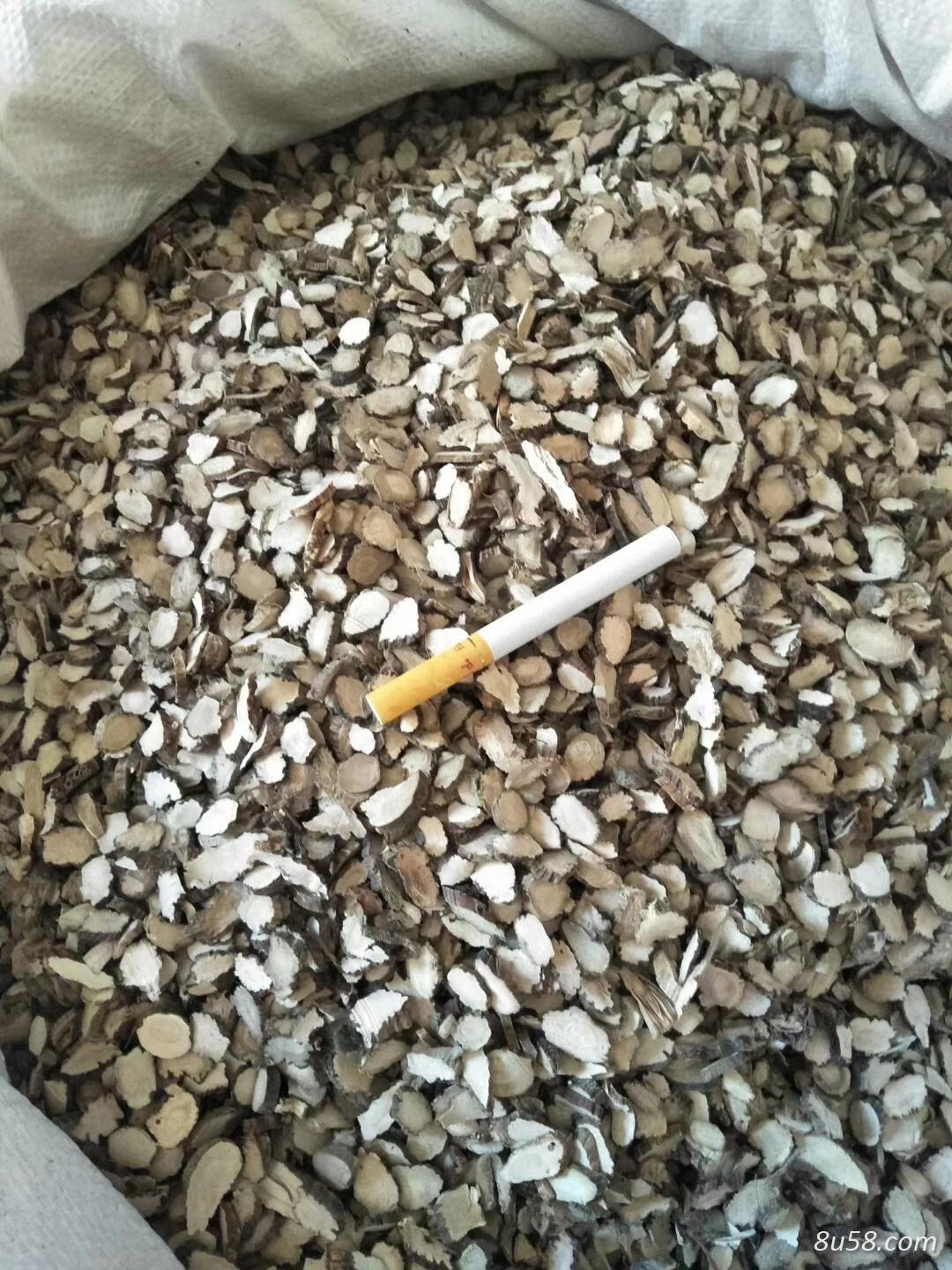 水菖蒲新货 干净