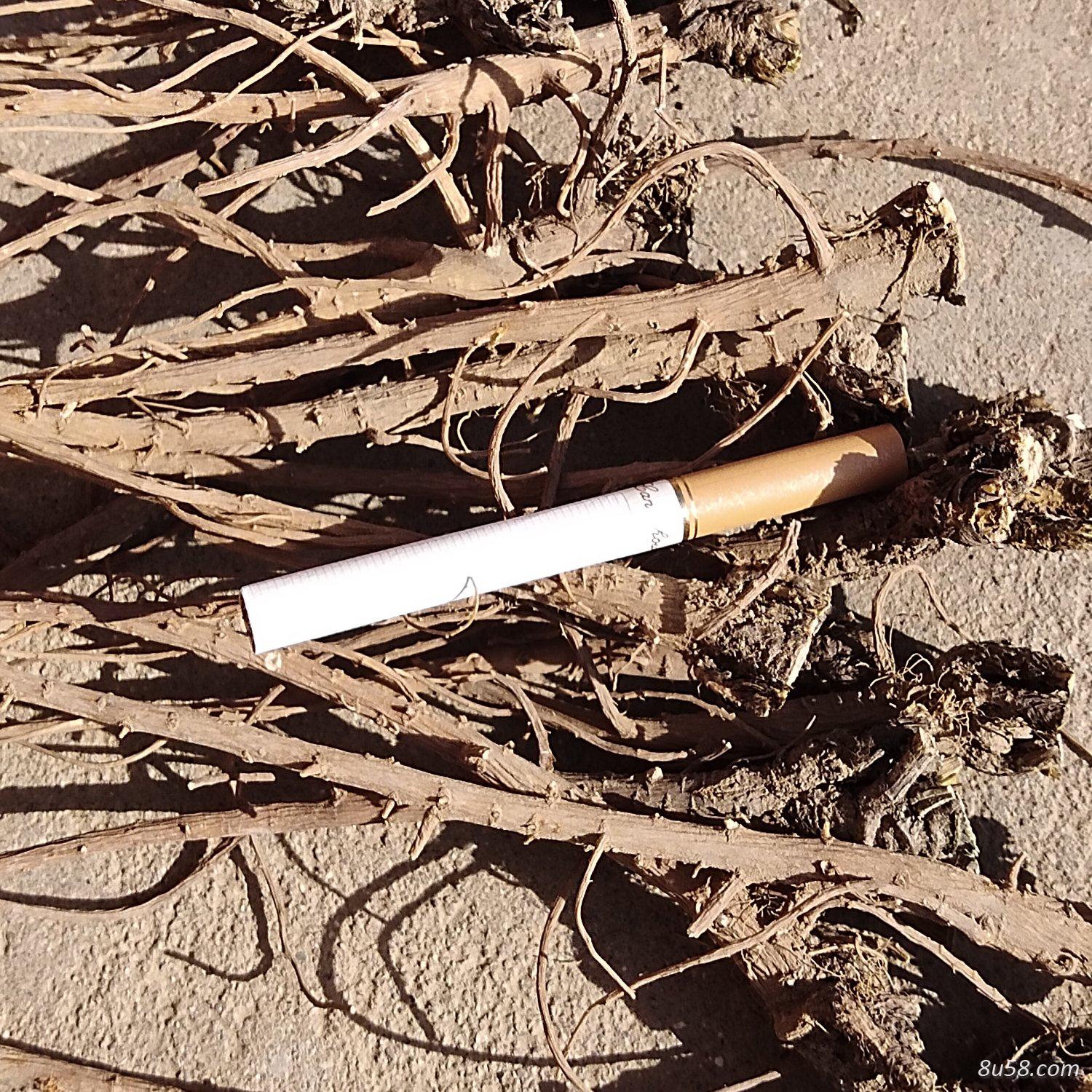 产自大西北甘肃北柴胡含量好