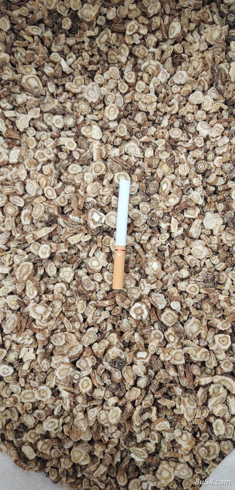 长期经营北沙参