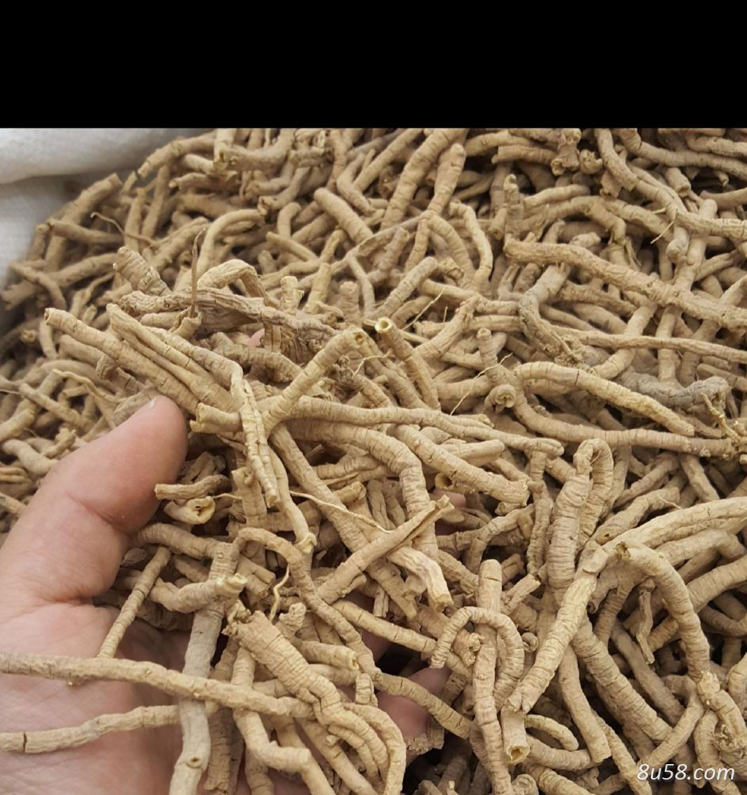 远志统货出售