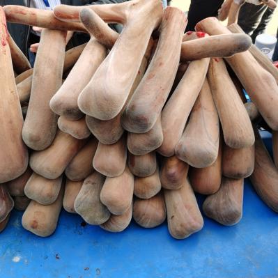 鲜鹿茸干鹿茸产地批发各种鹿产品
