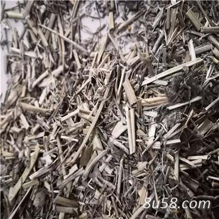 白屈菜 中药材白屈菜产地直销