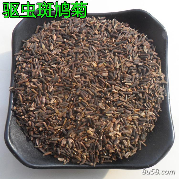 斑鸠菊 中药材斑鸠菊供应