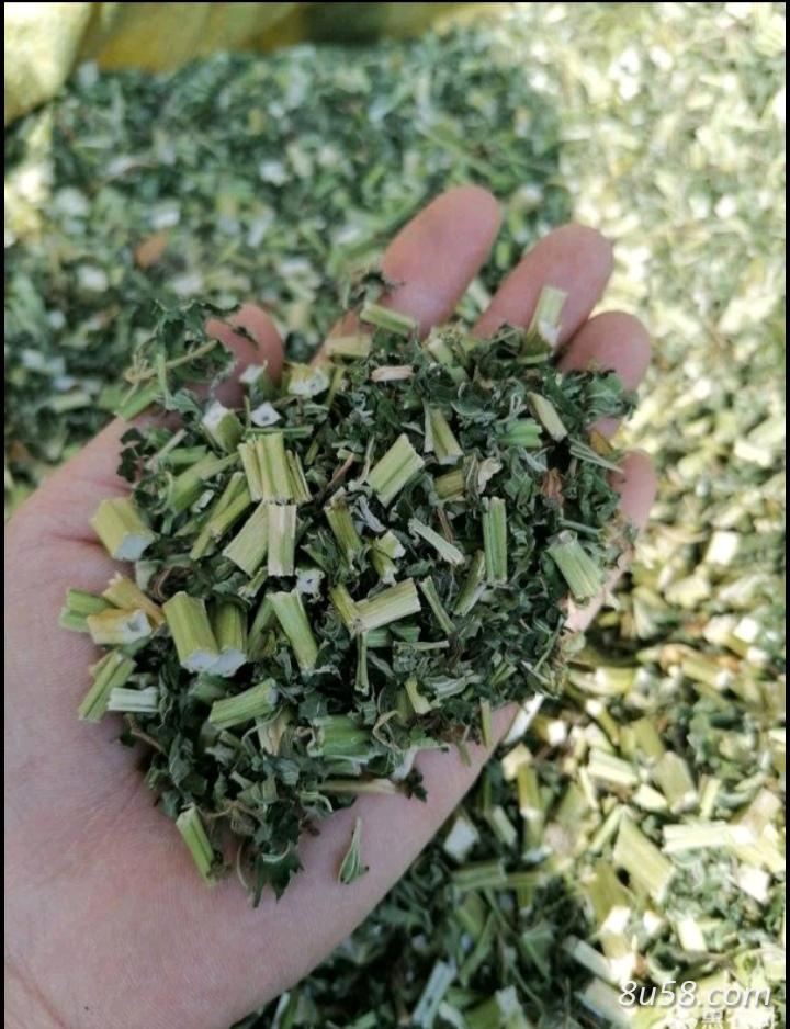 售益母草