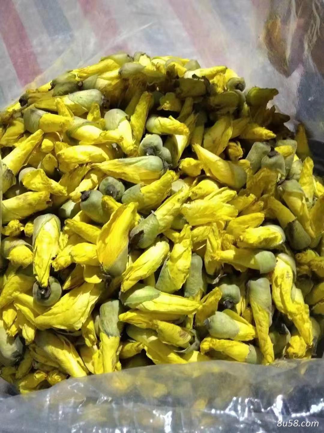 中药材金花葵哪里有卖 金花葵批发零售