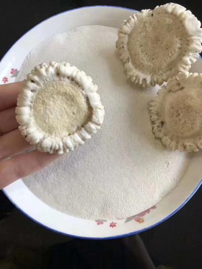 鹿托盘，鹿角冒，鹿茸粉，鹿角冒粉多少钱，大量批发