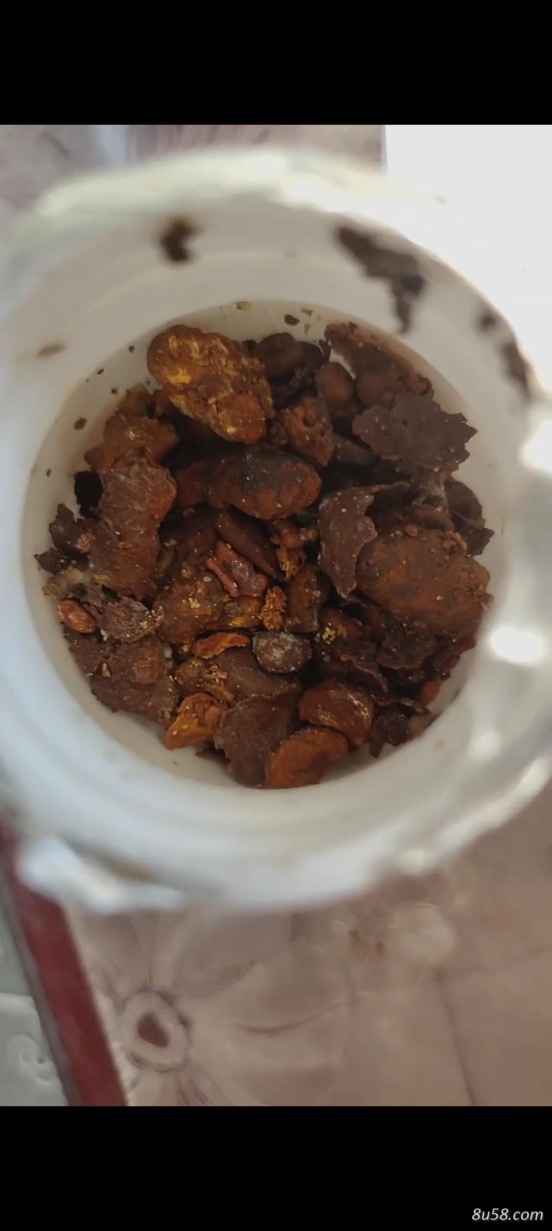 天然黄牛牛黄