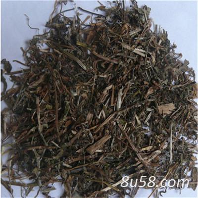 猫耳草的功效 中药材猫耳草批发零售