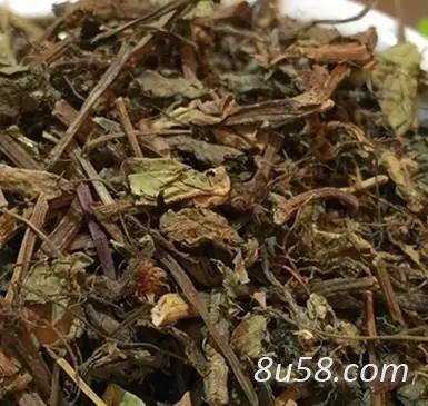 四季红哪里有卖 中药材四季红多少钱一斤