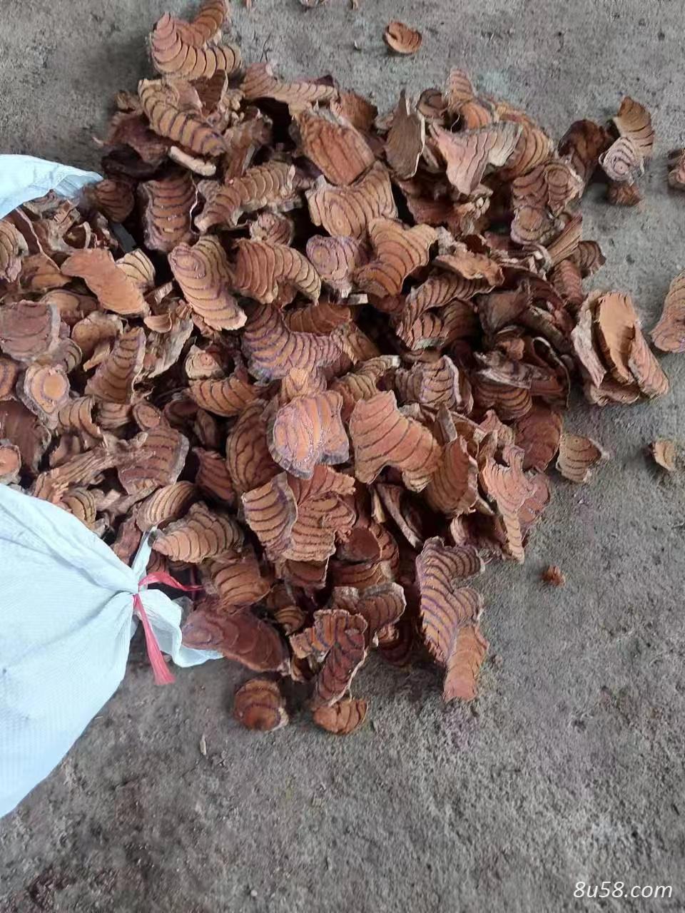 进口A规鸡血藤