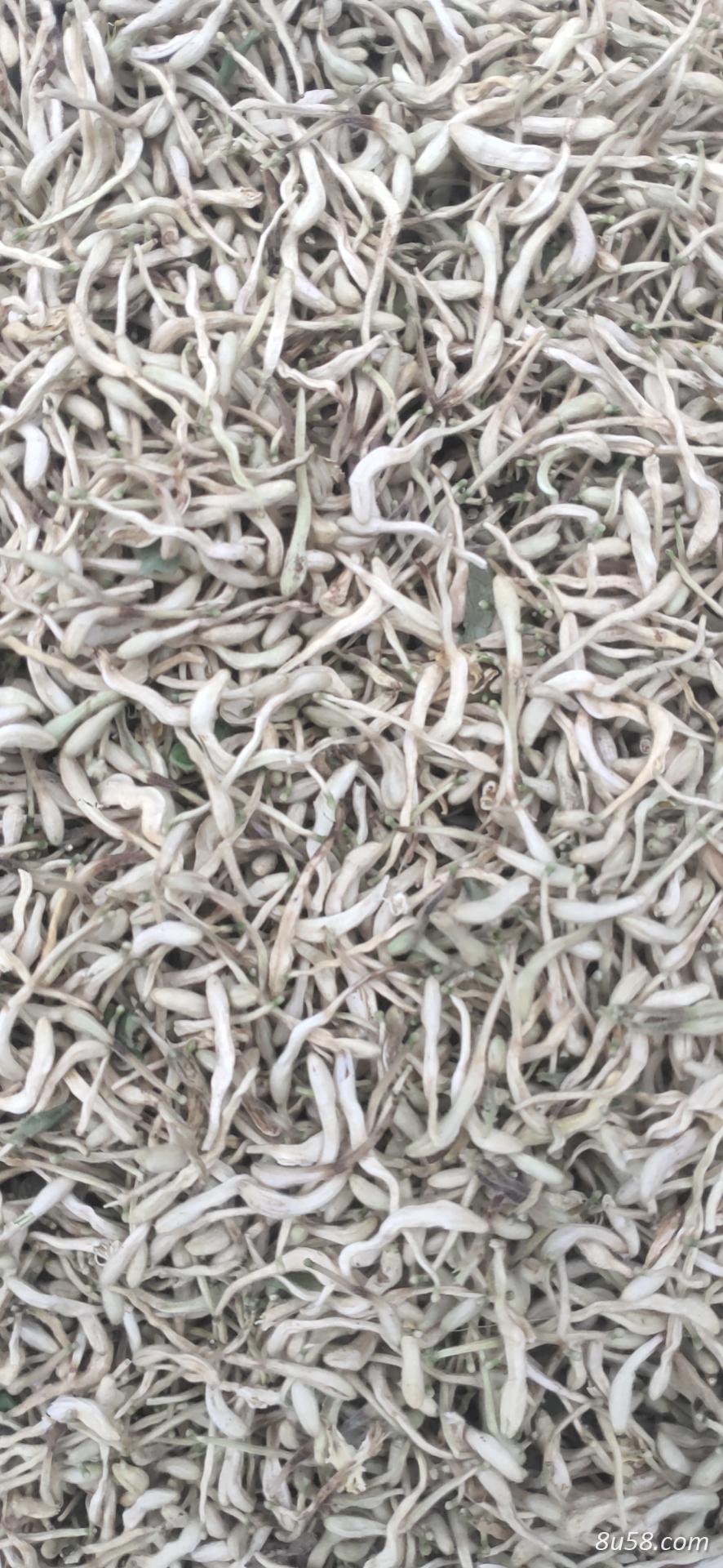 金银花饮片级干货