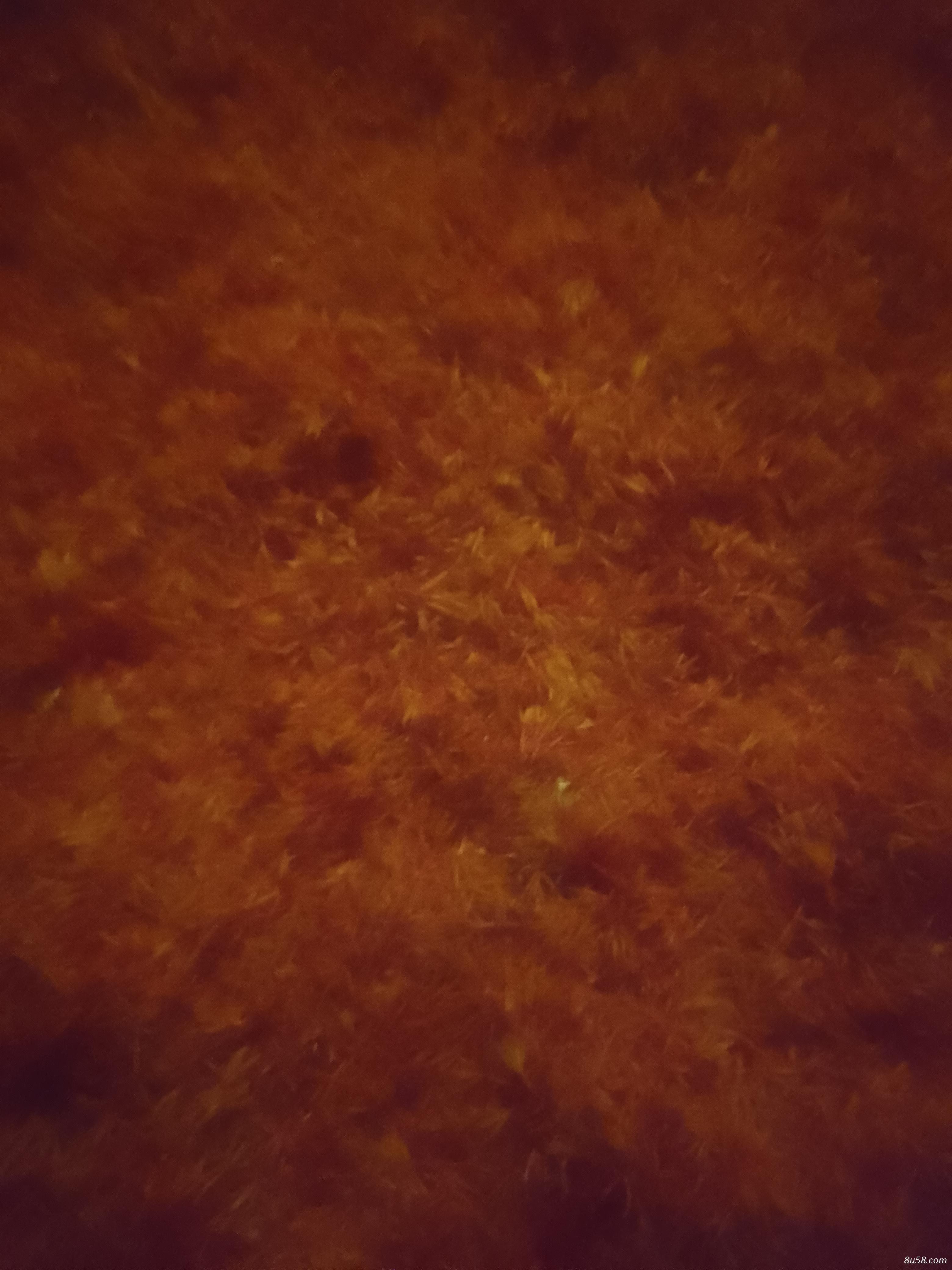 三月份采摘红花