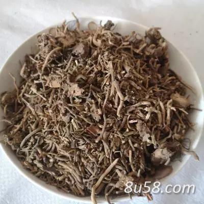 新货正品天然狮子尾 舒筋草 大伸筋草 石松500克包邮 狮子尾价格 狮子尾产地