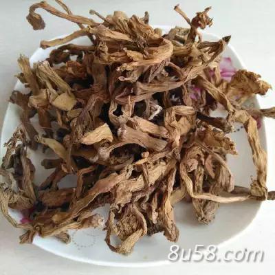 中药材曼陀罗花哪里能买到 曼陀罗花怎么用 曼陀罗花能治什么病 曼陀罗花一斤多少钱