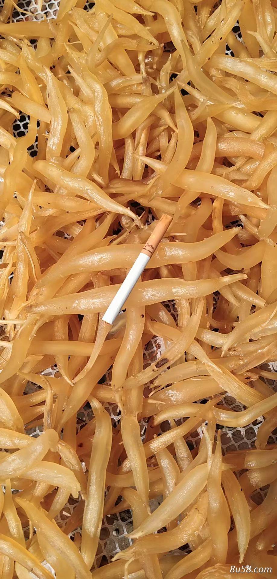 云南丽江大天门冬有鲜成品货欲售