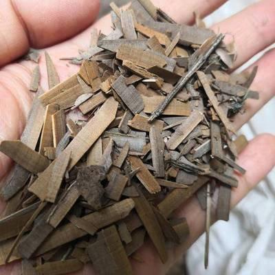 哪里的鬼箭羽便宜的 鬼箭羽价格多少  鬼箭羽产地 鬼箭羽功效