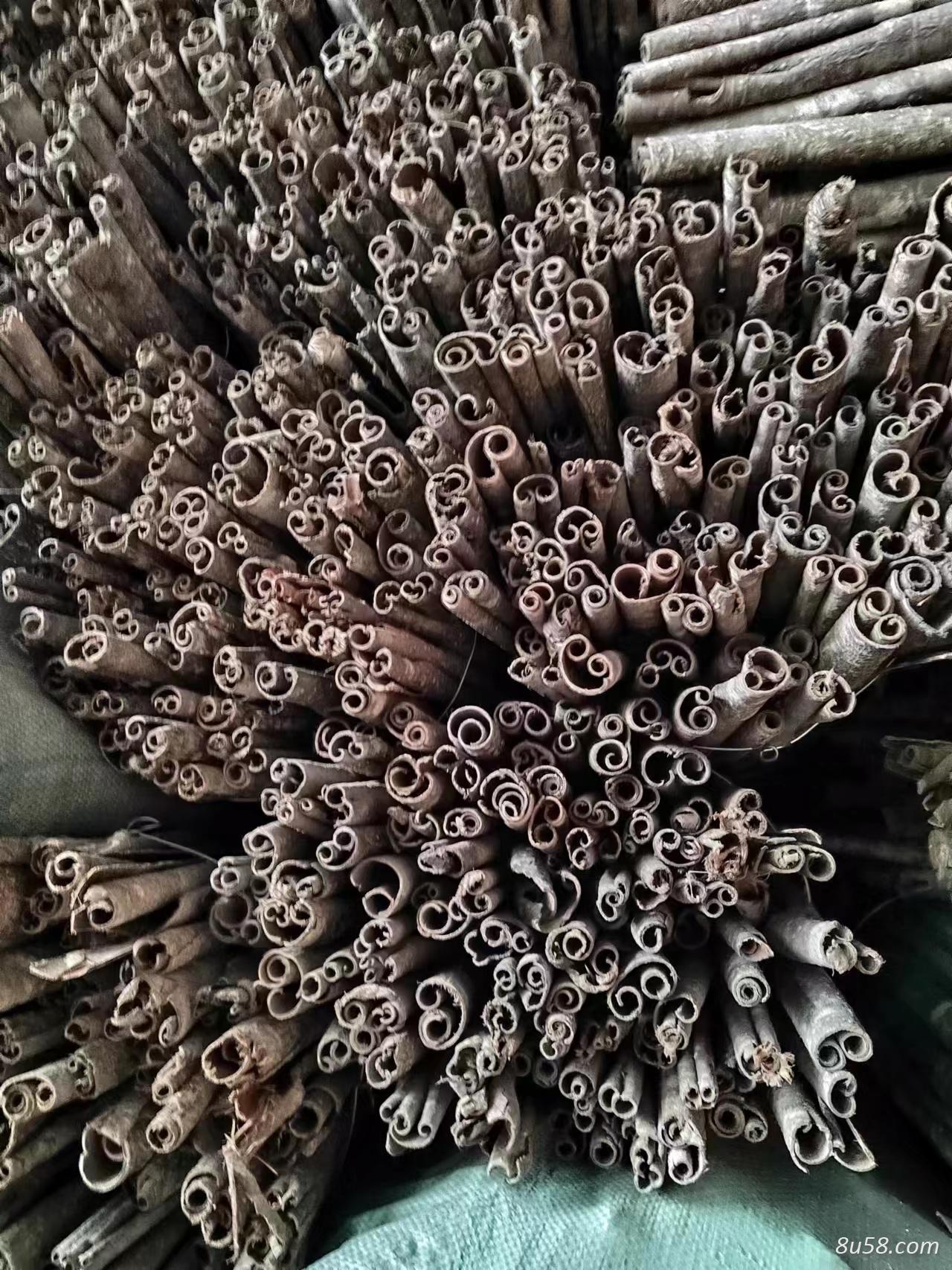 厚朴大量出售 厚朴大量出售