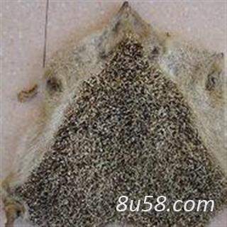 刺猬皮,猬皮,刺鼠皮,猬鼠皮,刺球子皮,仙人衣,毛刺多少钱一克,优质商家