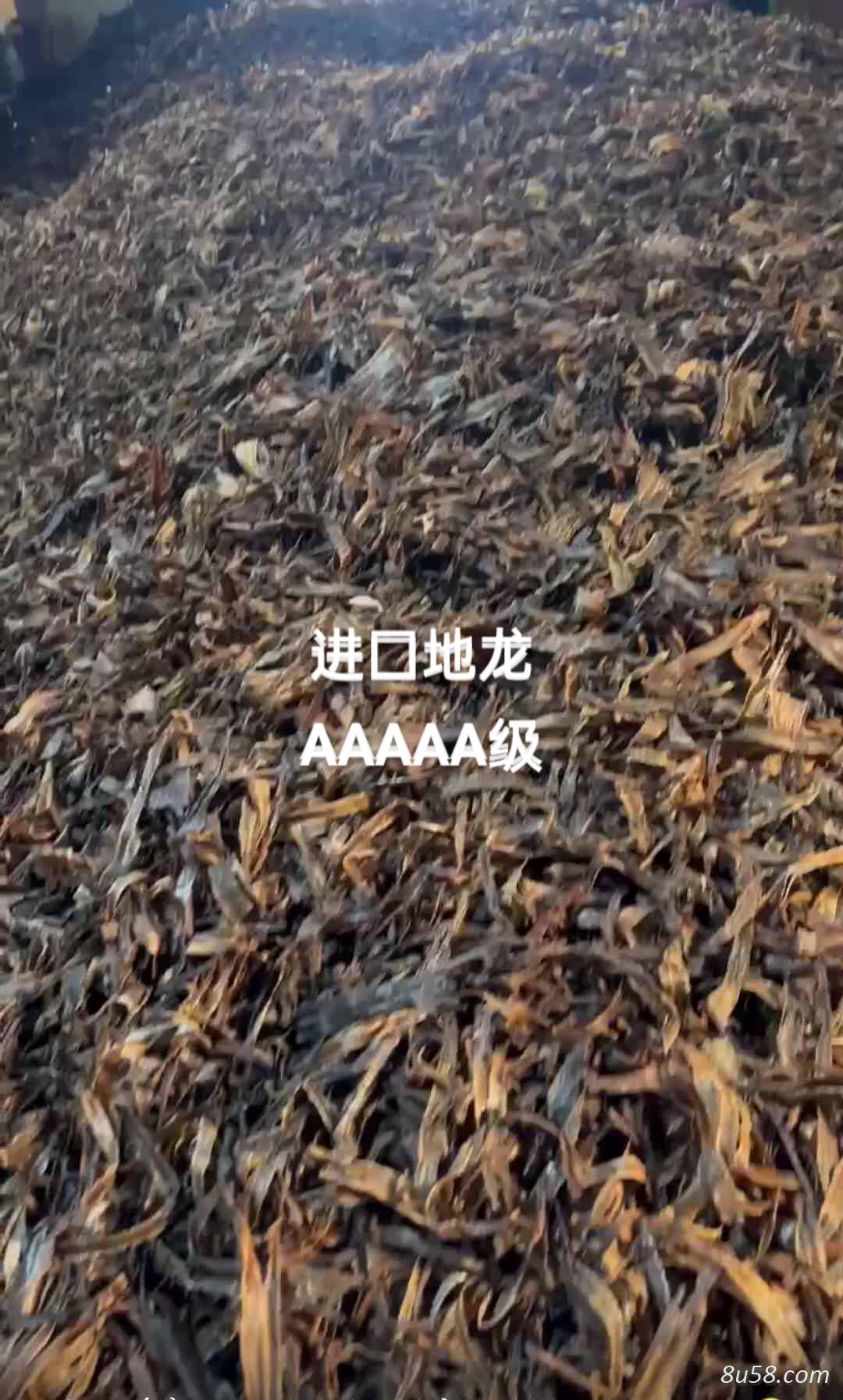 地龙