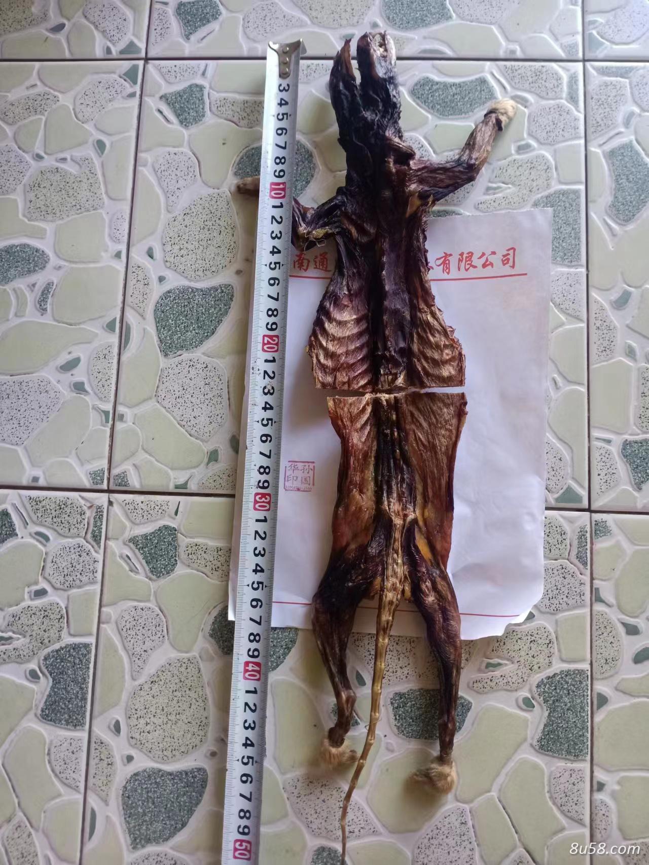 黄鼠狼骨多少钱一个--孙国华