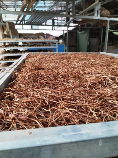 红薯杆干货