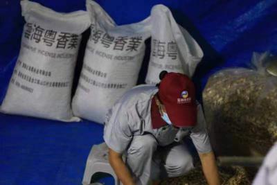 沉香中药材原料源头供应