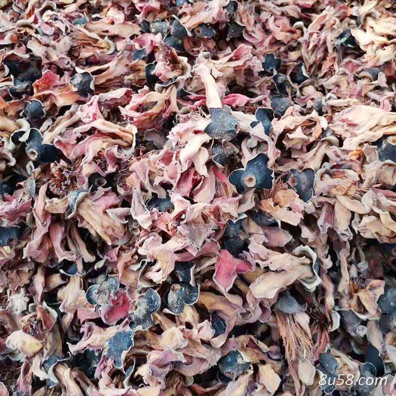 木棉花