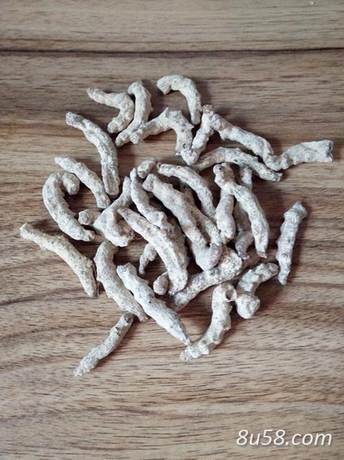 我有大批量僵蚕