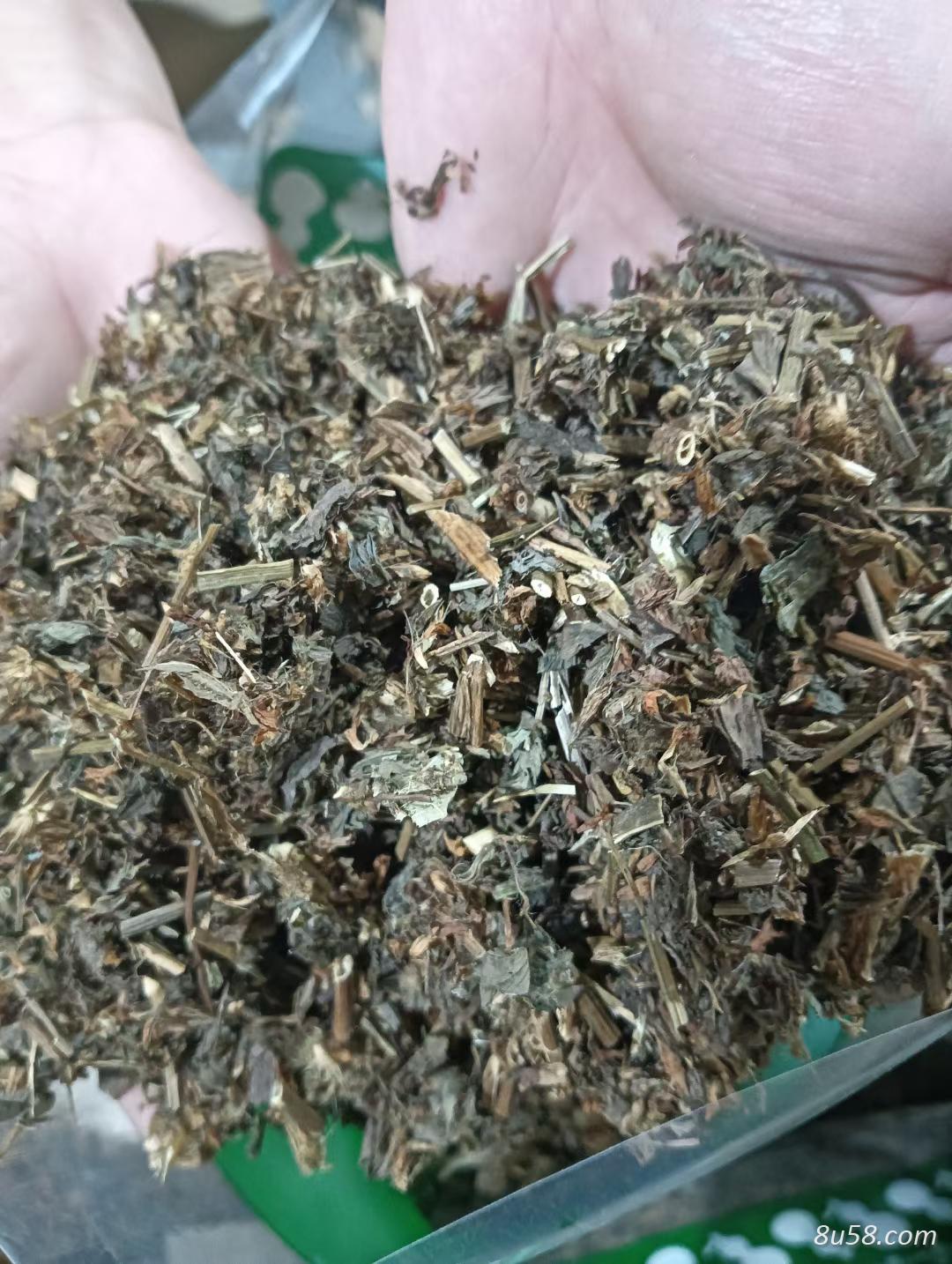 供应红车轴草产地批发零售