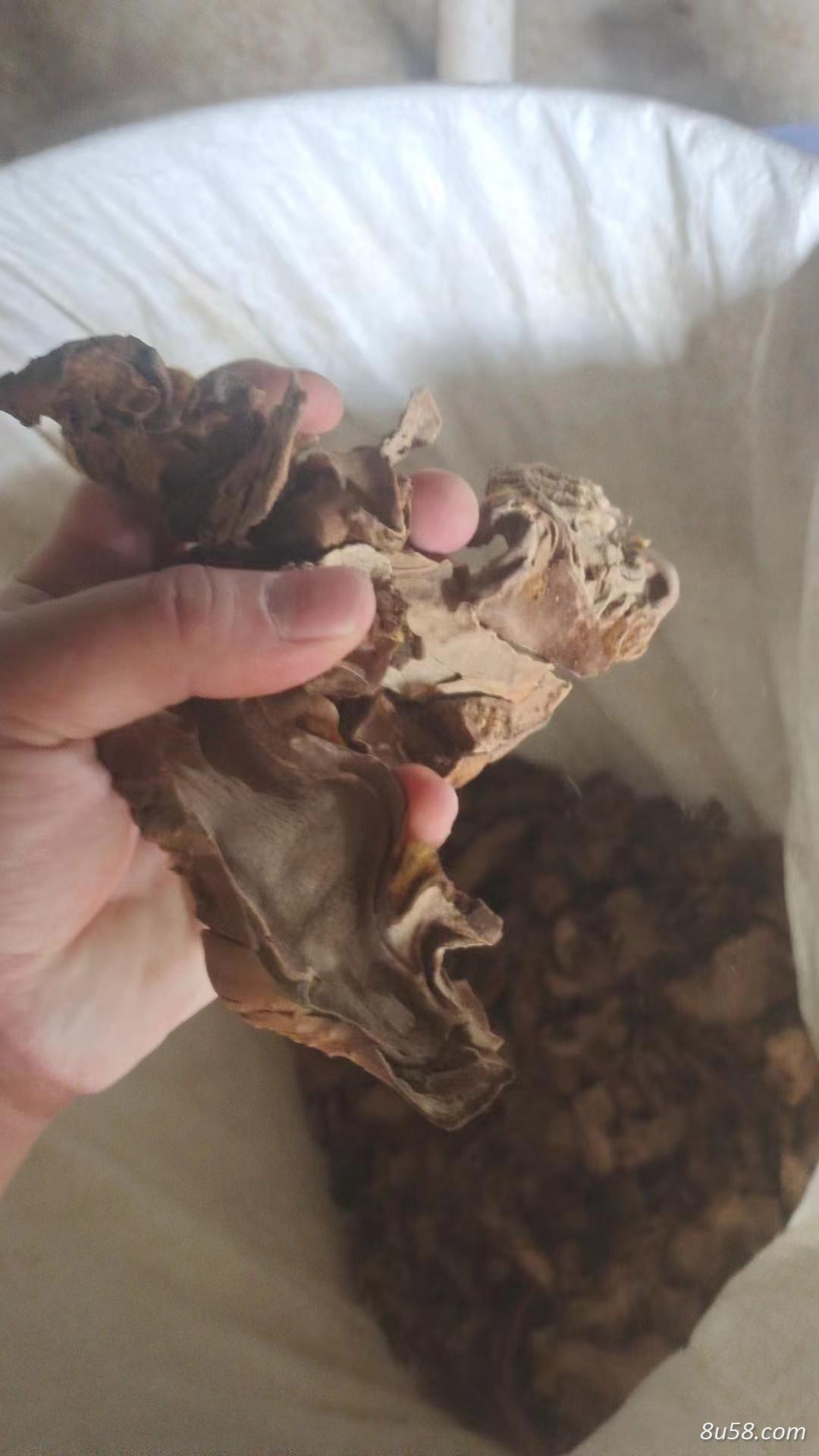狗脊片 狗脊片
