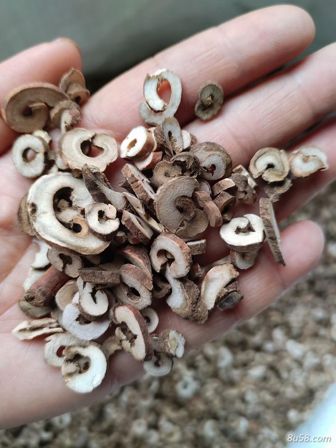 牡丹皮