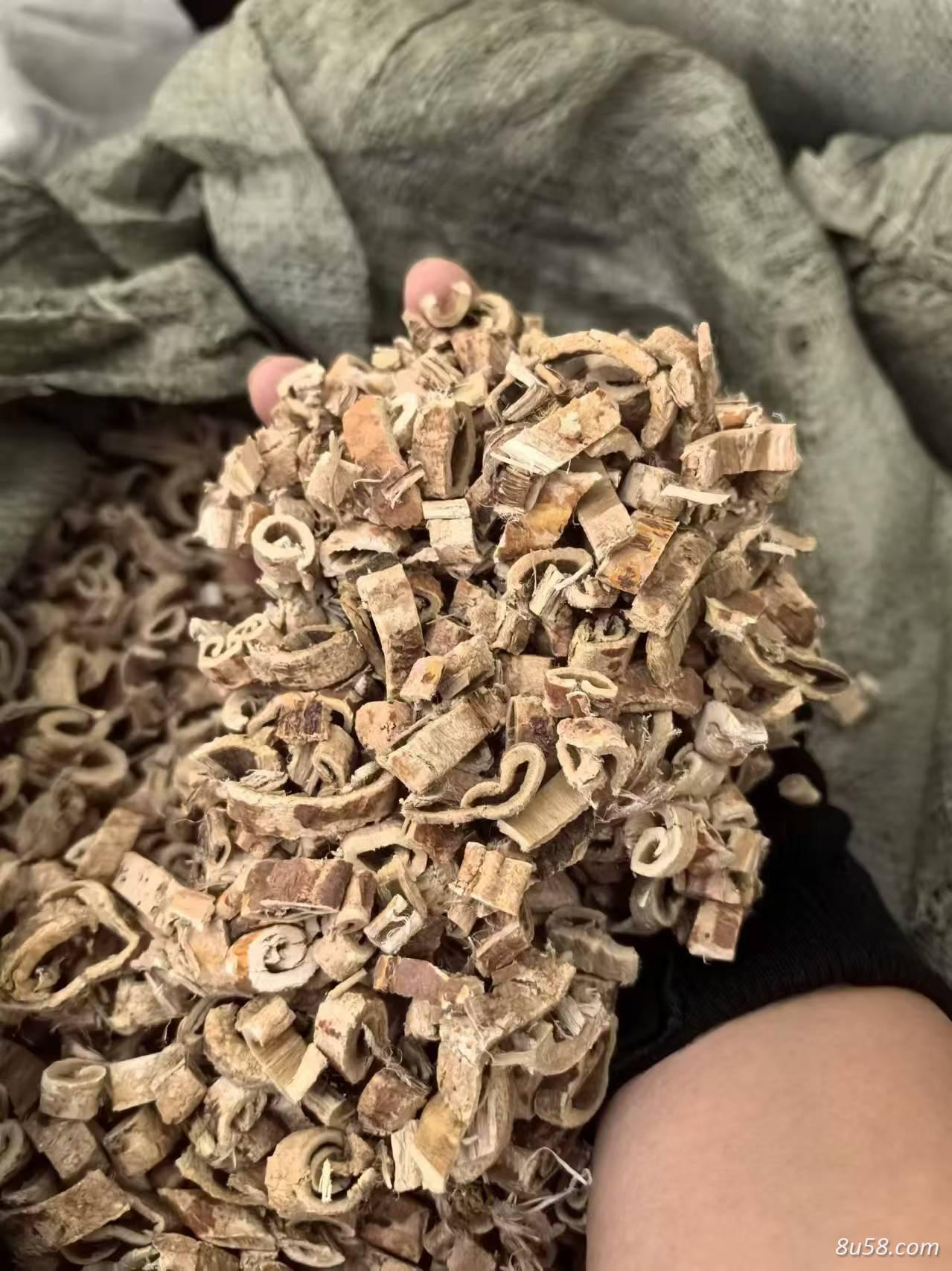 桑白皮