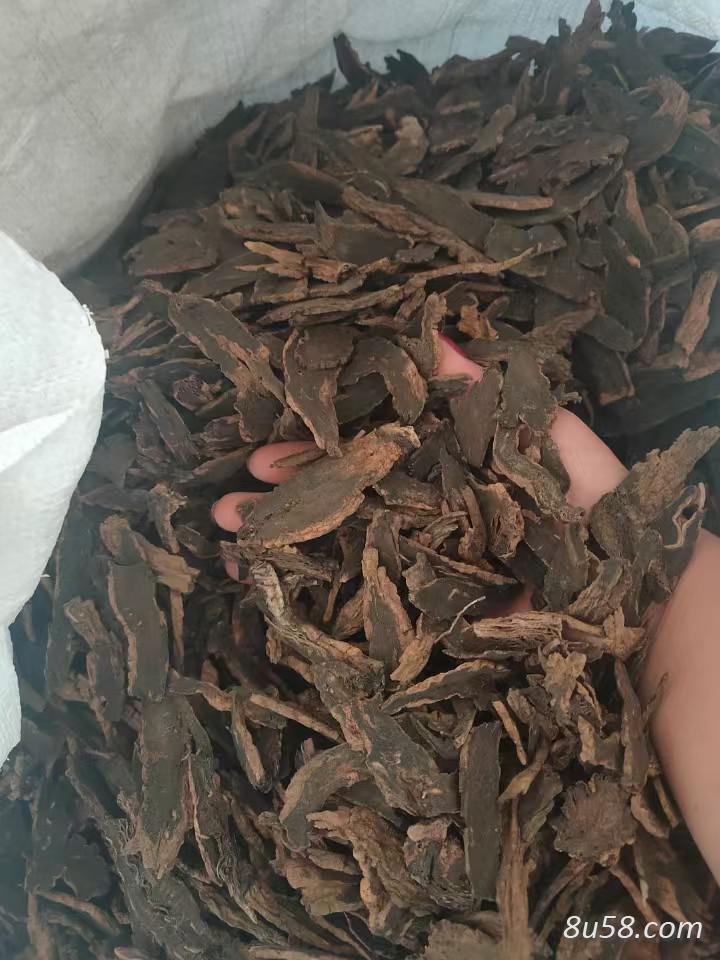 玄参