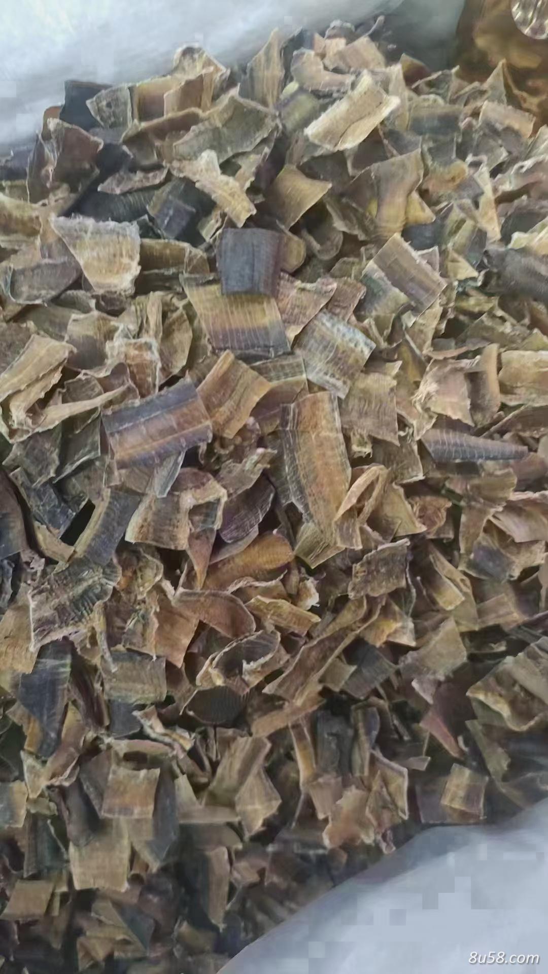 地龙是蚯蚓吗？地龙的功效与作用是什么？