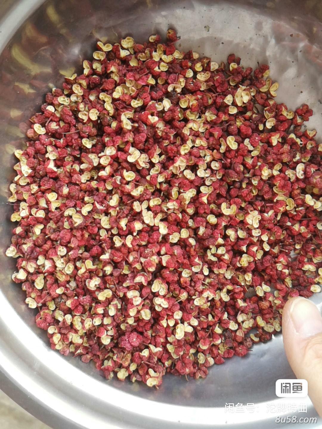 和甘肃天水大红袍几乎一样的甘肃平凉的花椒（自家种的包邮）