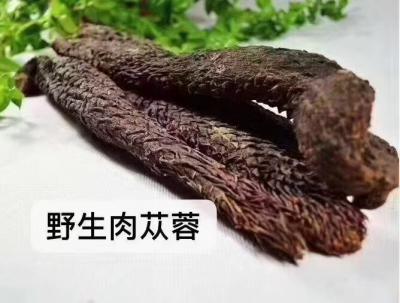肉苁蓉