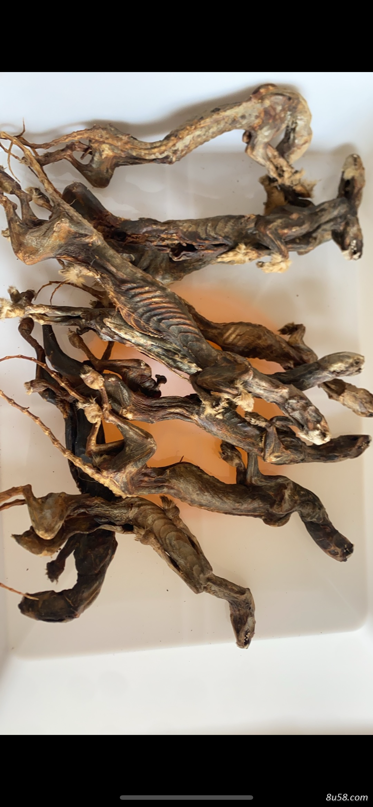 黄鼠狼风干肉如何做成胶囊，黄鼠狼风干肉如何加工成干粉