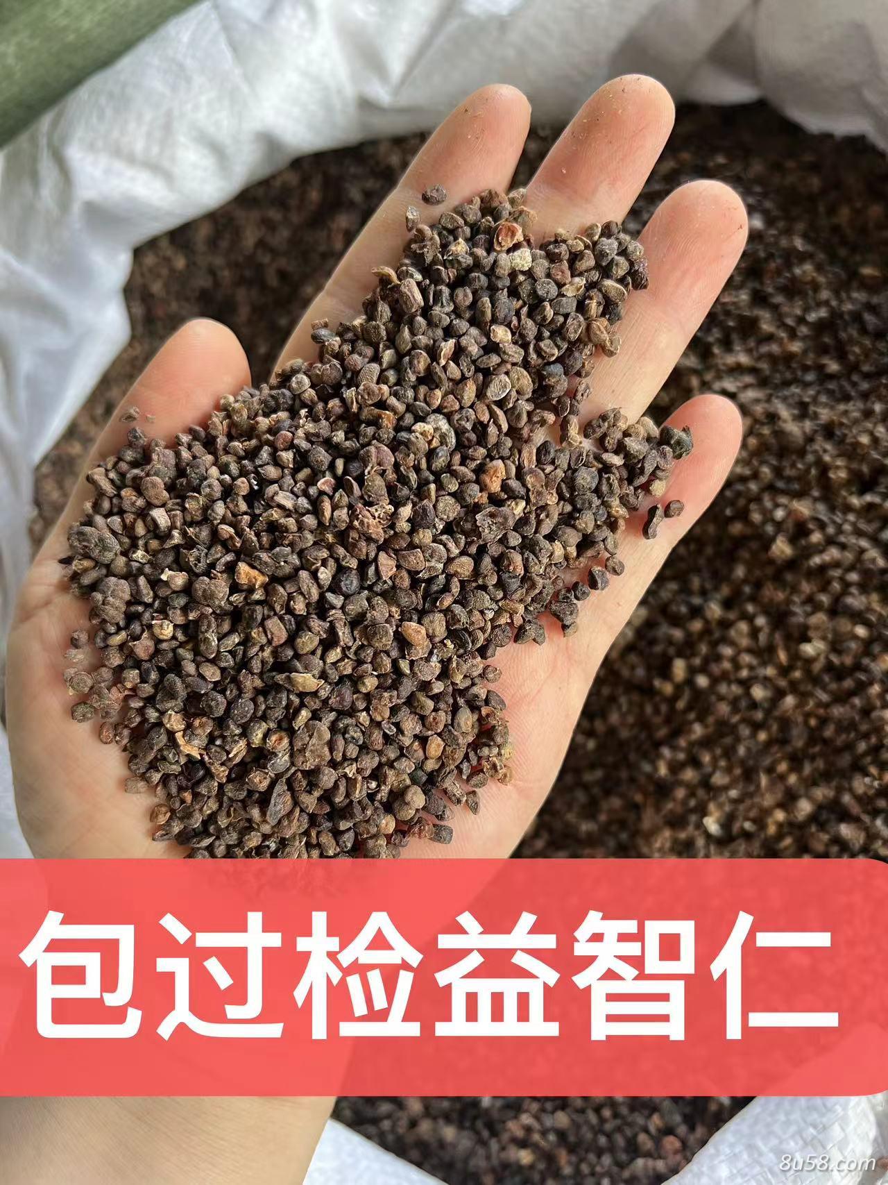 益智仁米